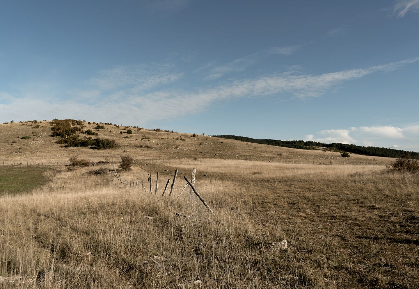 Paysage ouvert du Causse Méjean, avec des herbes sèches, des clôtures, des collines et un grand ciel bleu. | Atelier Tuffery