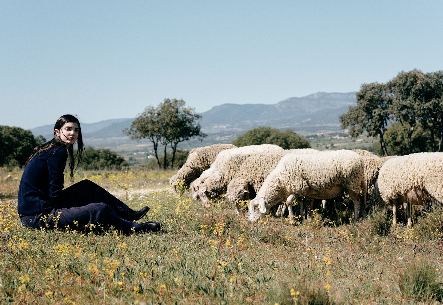 Femme assise dans la garrigue près d’un troupeau de brebis, avec les reliefs en arrière-plan. | Atelier Tuffery