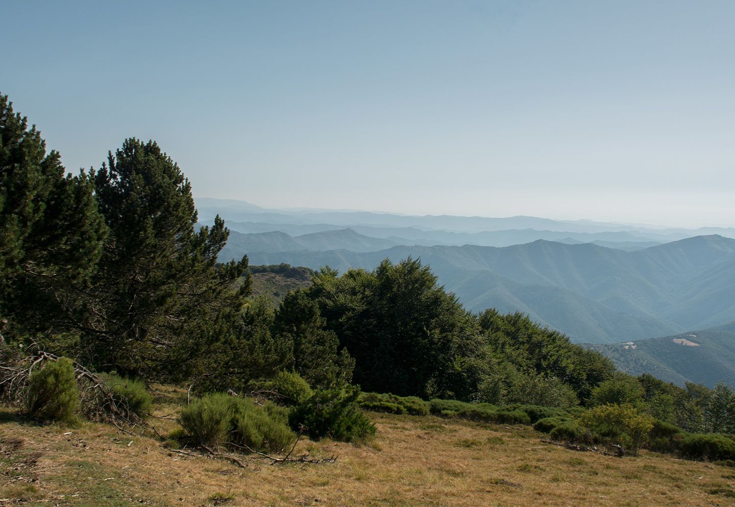 Vue panoramique depuis l’Aigoual, avec les reliefs des Cévennes et des montagnes à perte de vue. | Atelier Tuffery