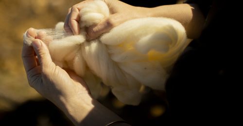 Des mains travaillent délicatement une laine douce et duveteuse en extérieur, baignées d’une lumière chaude. - Atelier Tuffery