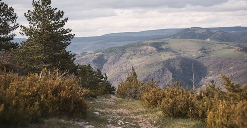 Paysage des Cévennes - Atelier Tuffery