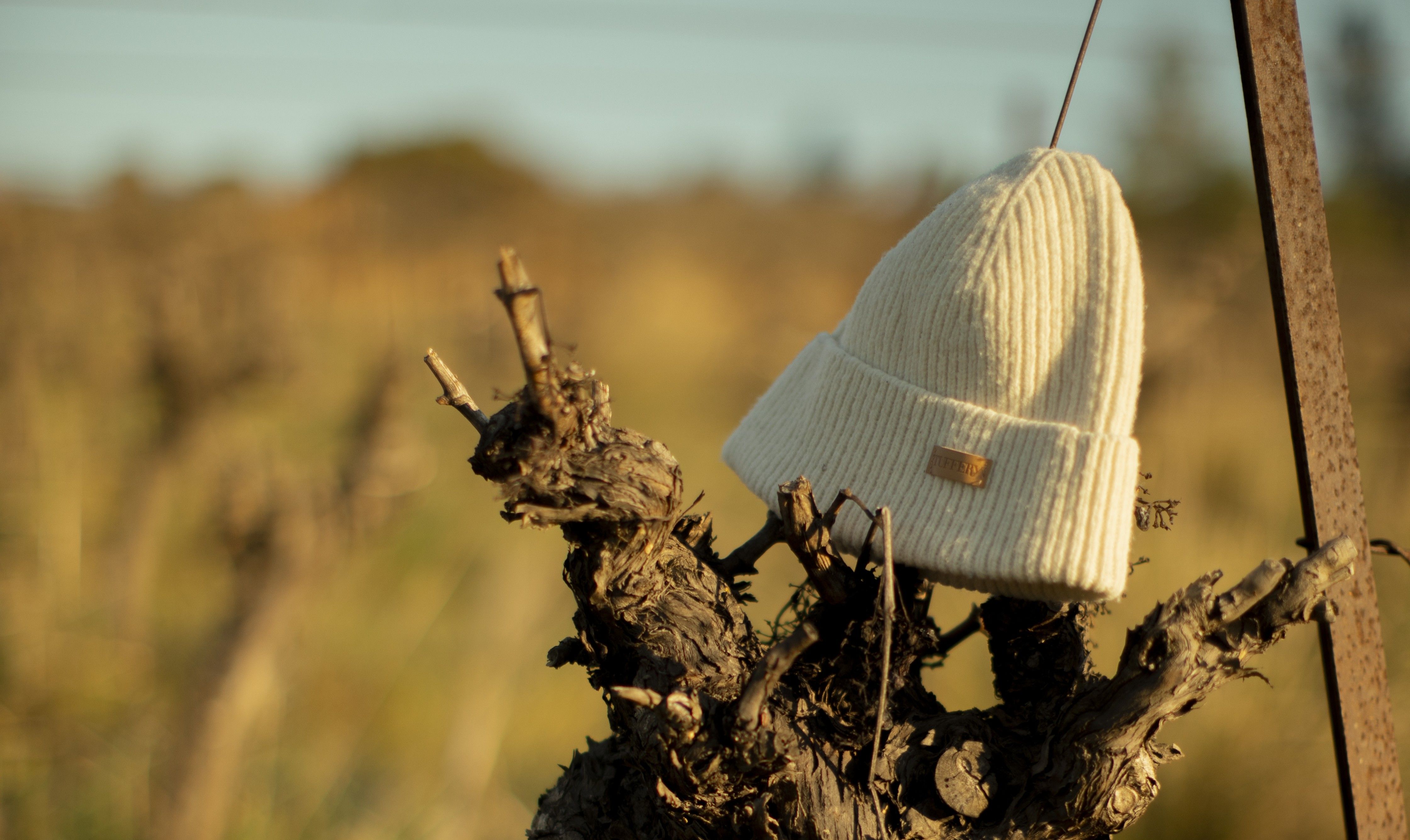 Découvrez comment entretenir vos vêtements en laine : lavage à froid, séchage à plat et gestes simples pour préserver votre maille Atelier TUFFERY | Atelier Tuffery