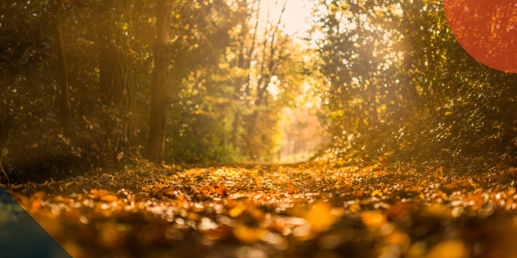 Top Drupal blog posts from September 2025