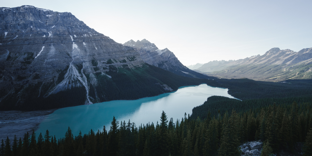 Top Drupal blog posts from November 2022