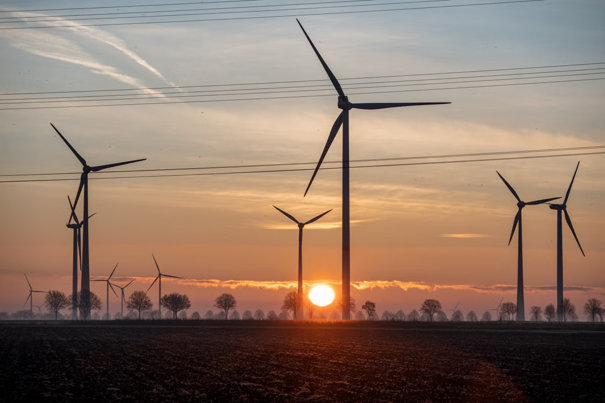 Windturbines als silhouetten tegen een zonsondergang, met een heldere hemel, een kale vlakte en bomen in de verte.