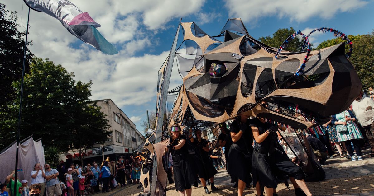 The Hatchling Incredible Responses to The Hatchling