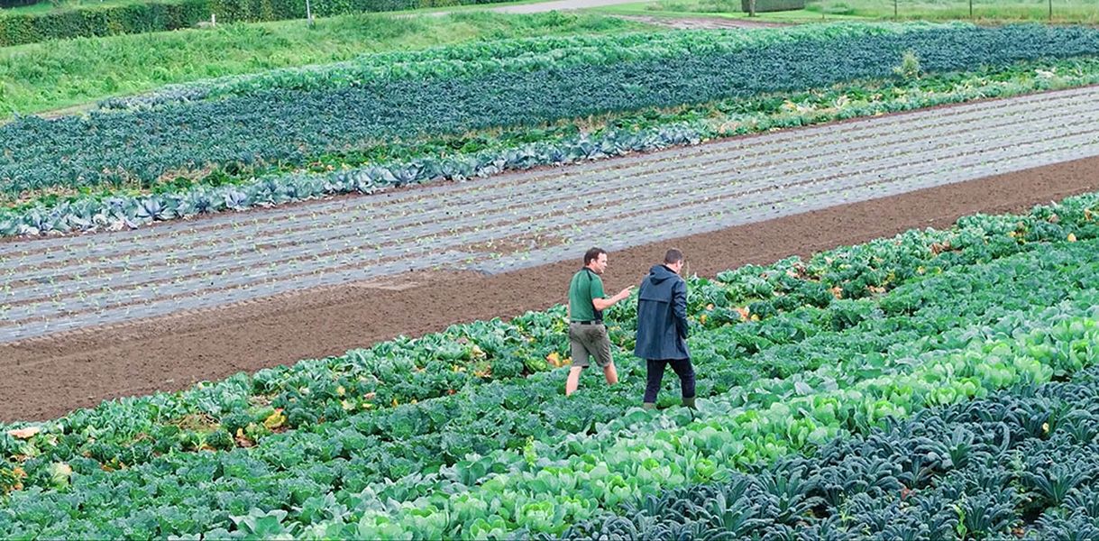 Ekomenu gaat op bezoek bij biologische tuinderij De Woag