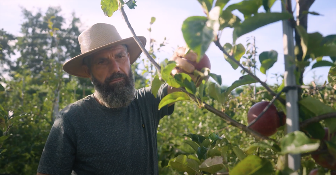 harrie van den elzen biofruit