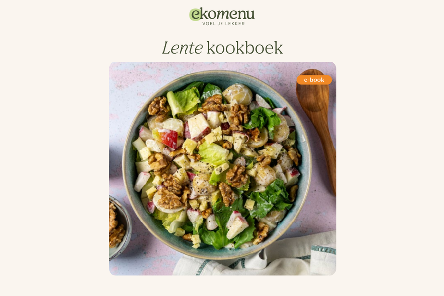 Lente e-book