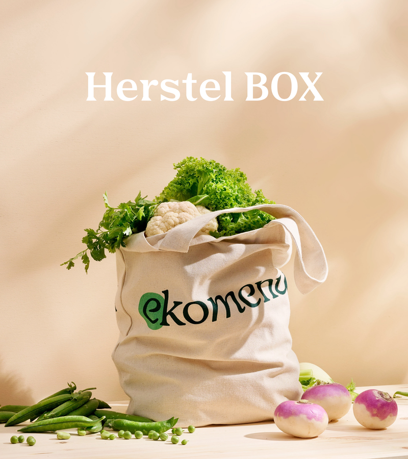 Herstel box (2400 x 2700 px)