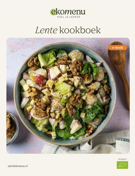 Lente ebook