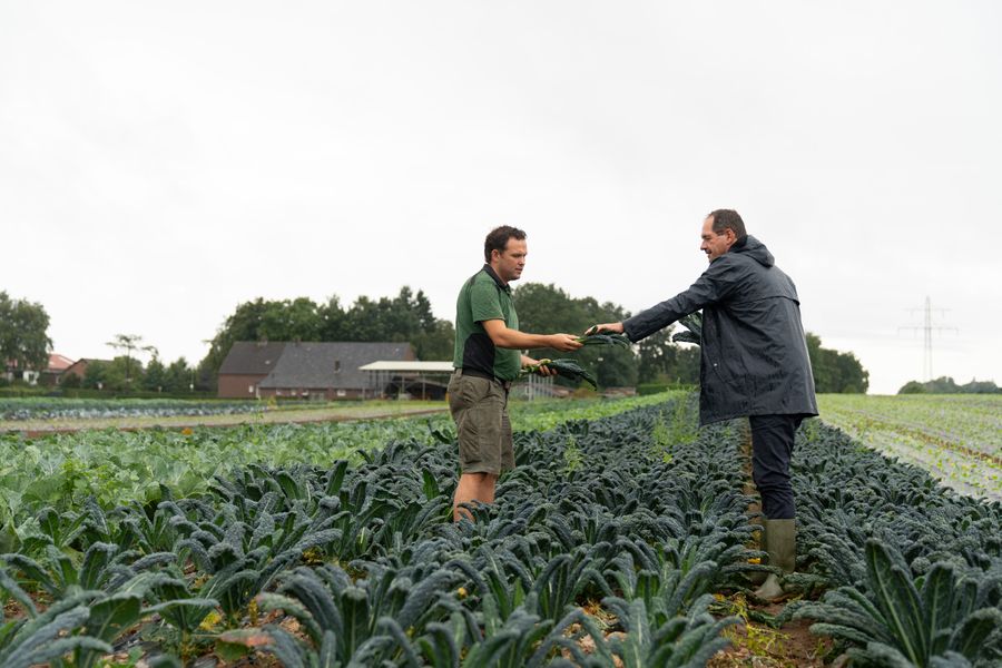 no alt or title set in CMS