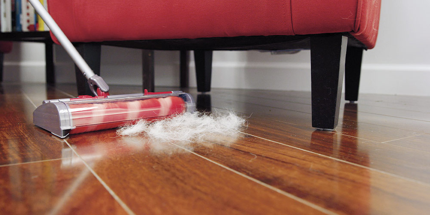 Ein Reinigungsgerät sammelt Tierhaare auf einem glänzenden Holzboden neben einem roten Sofa in einem hell erleuchteten Wohnzimmer.