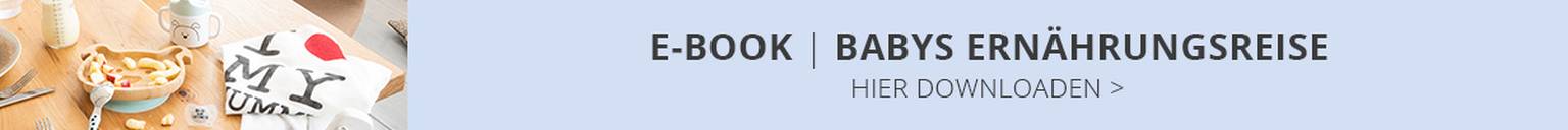 E-Book Babys Ernährungsreise