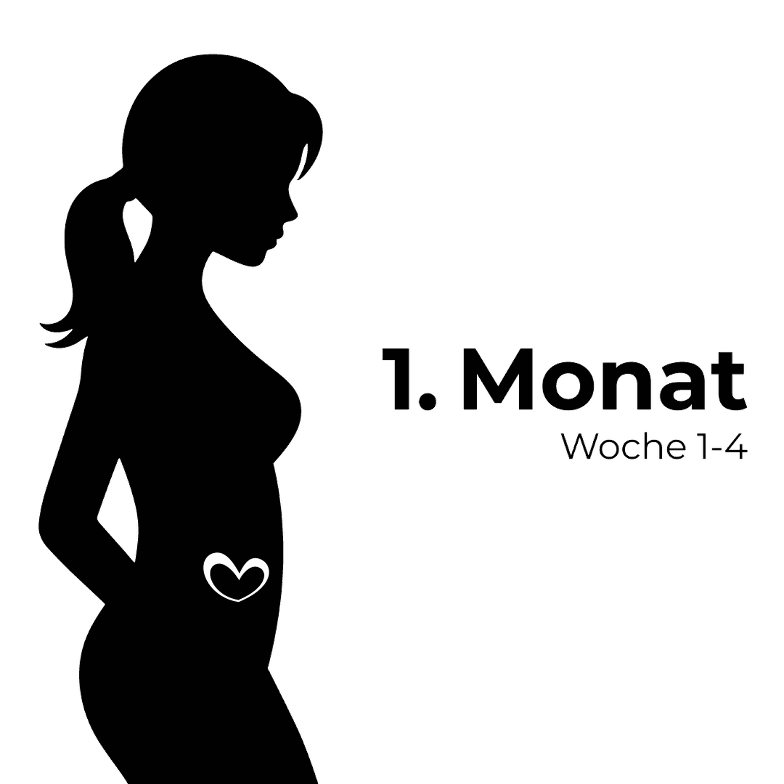 Silhouette einer schwangeren Frau mit einem Herzsymbol auf dem Bauch, beschriftet mit „1. Monat Woche 1-4“ auf weißem Hintergrund.