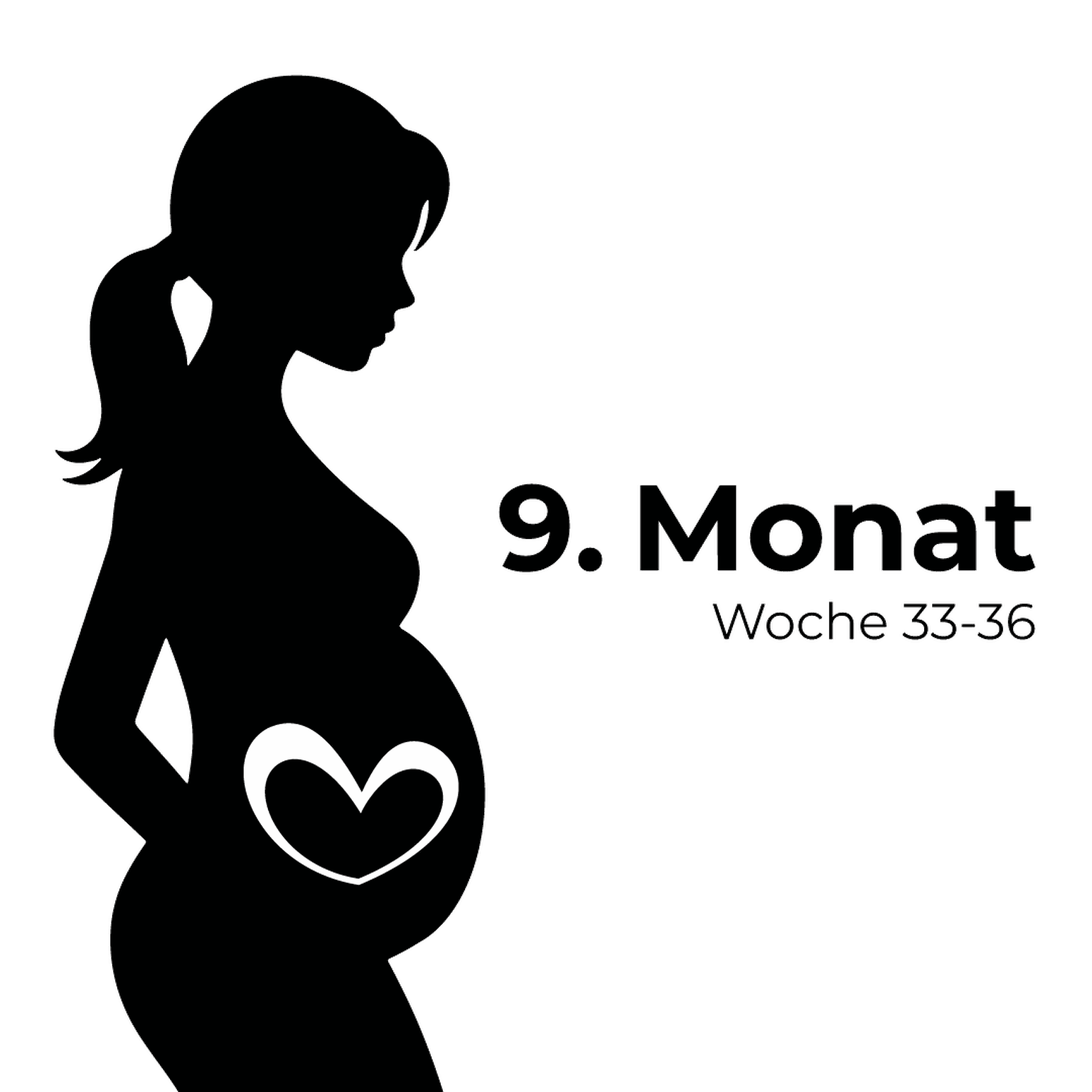 Silhouette einer schwangeren Frau mit einem Herzsymbol auf dem Bauch, beschriftet mit „9. Monat Woche 33-36“ auf weißem Hintergrund.