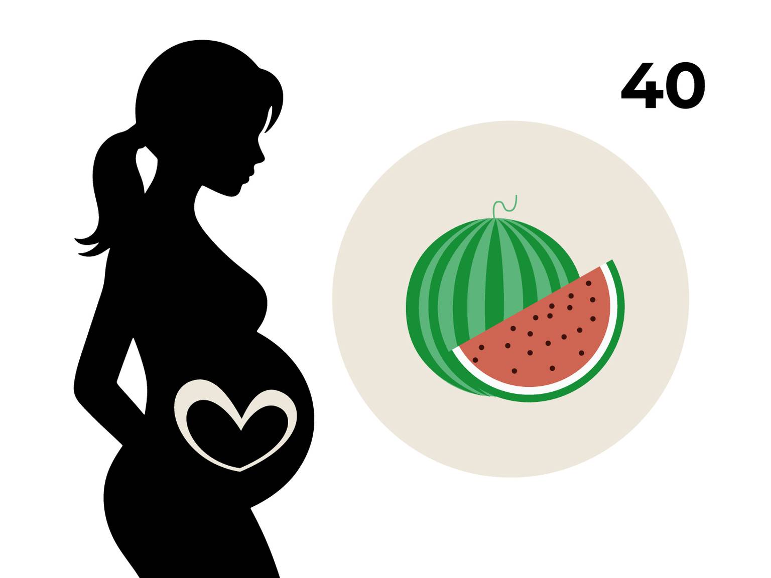 Silhouette einer schwangeren Frau mit einem Herz auf dem Bauch, daneben ein Kreis mit einer Wassermelone und die Zahl 40.