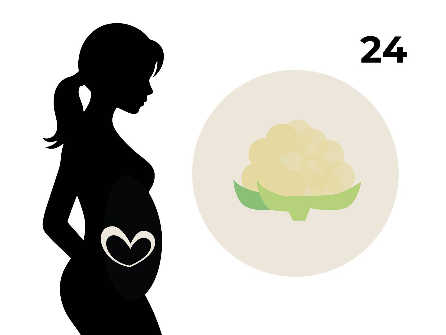 Silhouette einer schwangeren Frau mit einem Herz auf dem Bauch, daneben ein Kreis mit einem Blumenkohl und die Zahl 24.