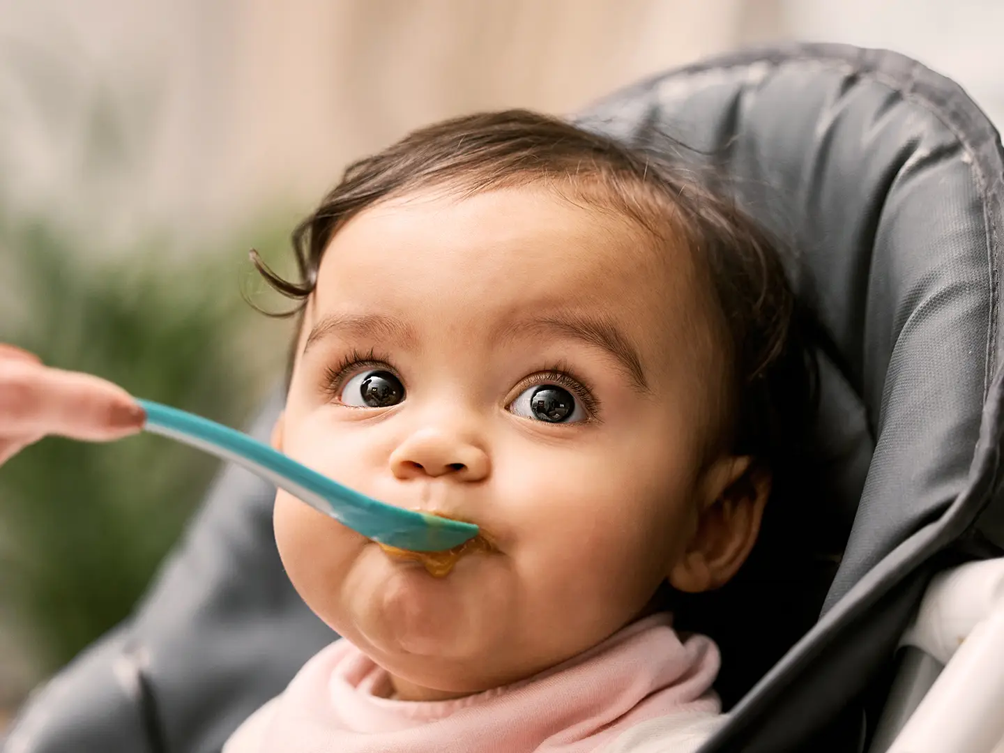Ein Baby in einem Hochstuhl wird mit einem blauen Löffel gefüttert, hat große Augen und trägt ein rosa Lätzchen.