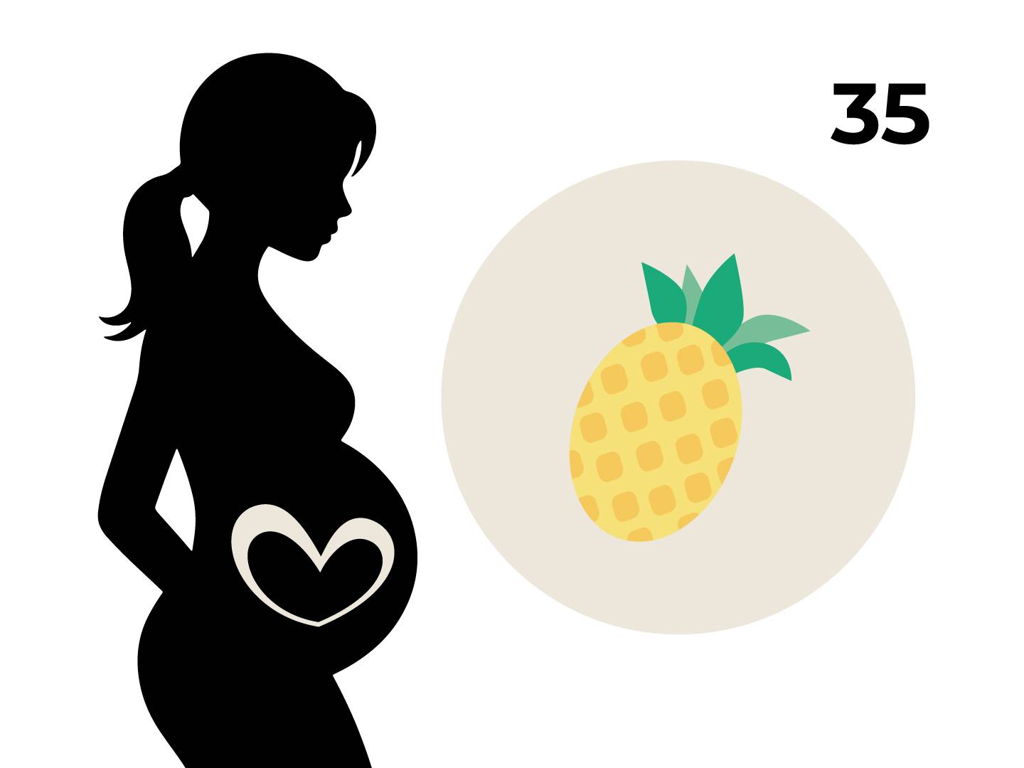 Silhouette einer schwangeren Frau mit einem Herz auf dem Bauch, daneben ein Kreis mit einer Ananas und die Zahl 35.