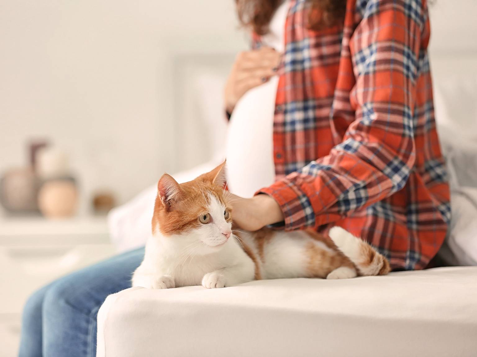 Schwangere Frau im karierten Hemd sitzt auf dem Bett und streichelt sanft eine orange-weiße Katze neben sich.