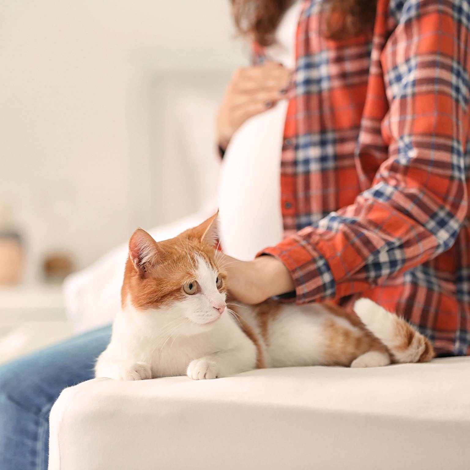 Schwangere Frau im karierten Hemd sitzt auf dem Bett und streichelt sanft eine orange-weiße Katze neben sich.