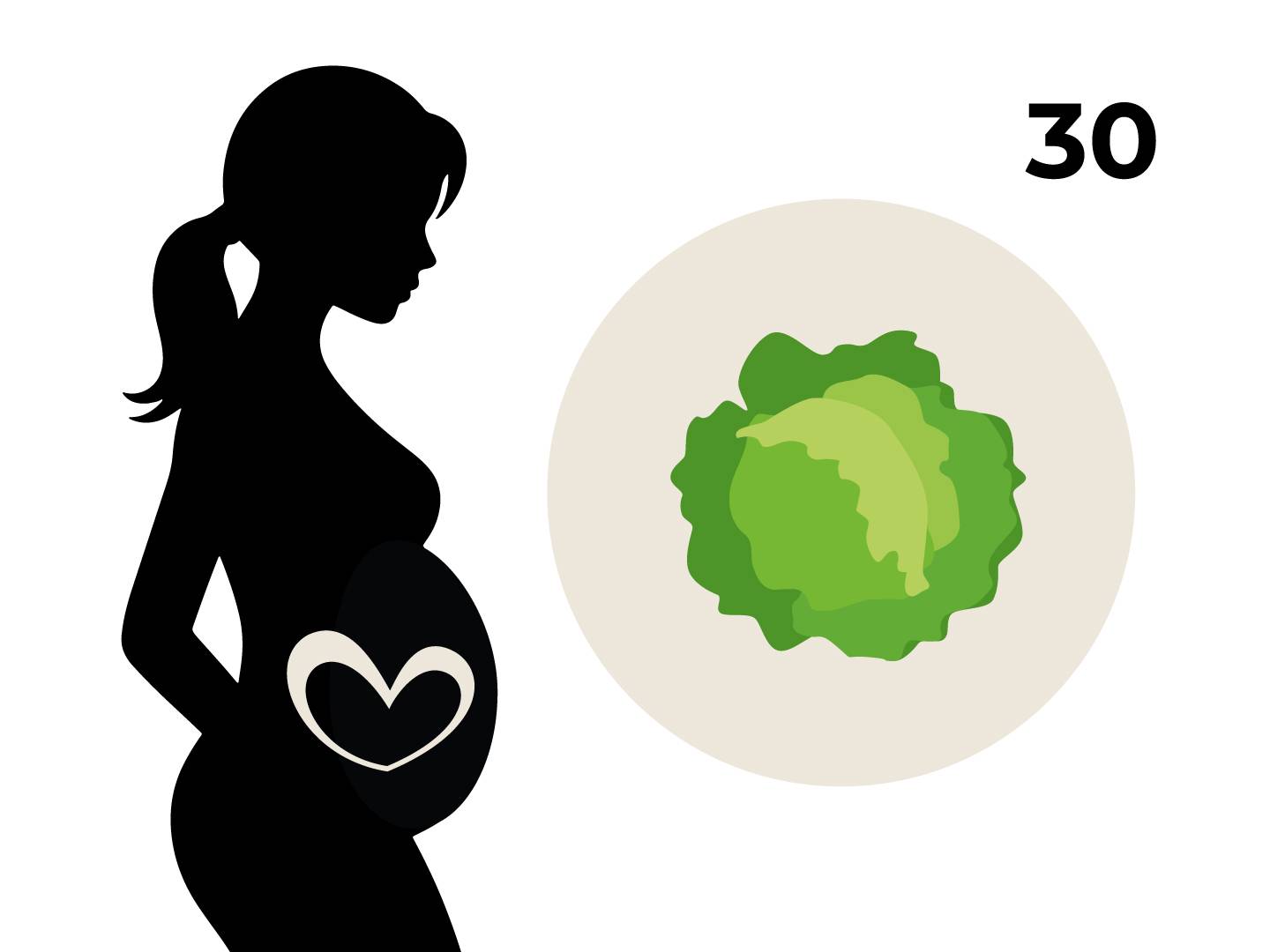 Silhouette einer schwangeren Frau mit einem Herz auf dem Bauch, daneben ein Kreis mit einem Kohlkopf und die Zahl 30.