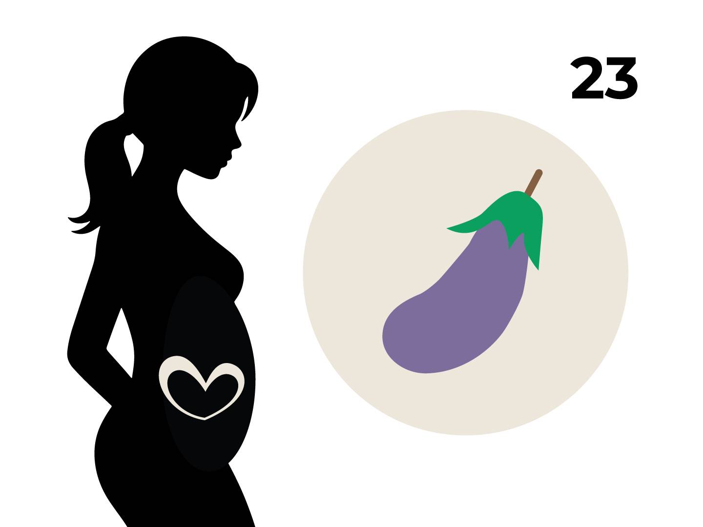Silhouette einer schwangeren Frau mit einem Herz auf dem Bauch, daneben ein Kreis mit einer Aubergine und die Zahl 23.