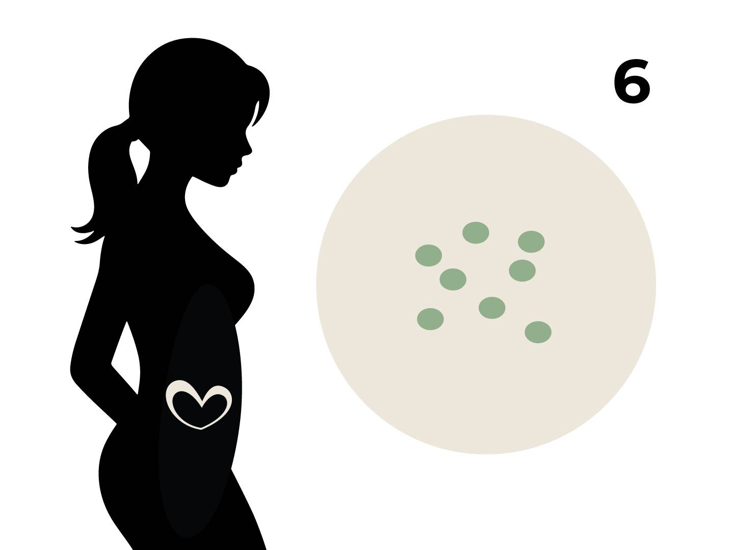 Silhouette einer schwangeren Frau mit einem Herz auf dem Bauch, daneben ein Kreis mit Linsen und die Zahl 6.