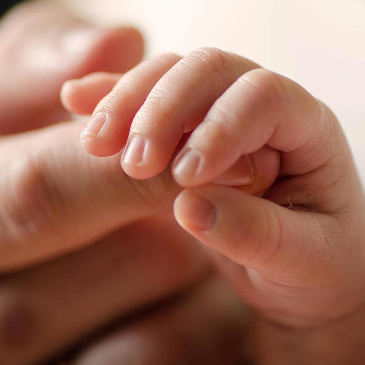 Nahaufnahme einer Babyhand, die sanft den Finger eines Erwachsenen greift und so Verbundenheit und Zärtlichkeit symbolisiert.