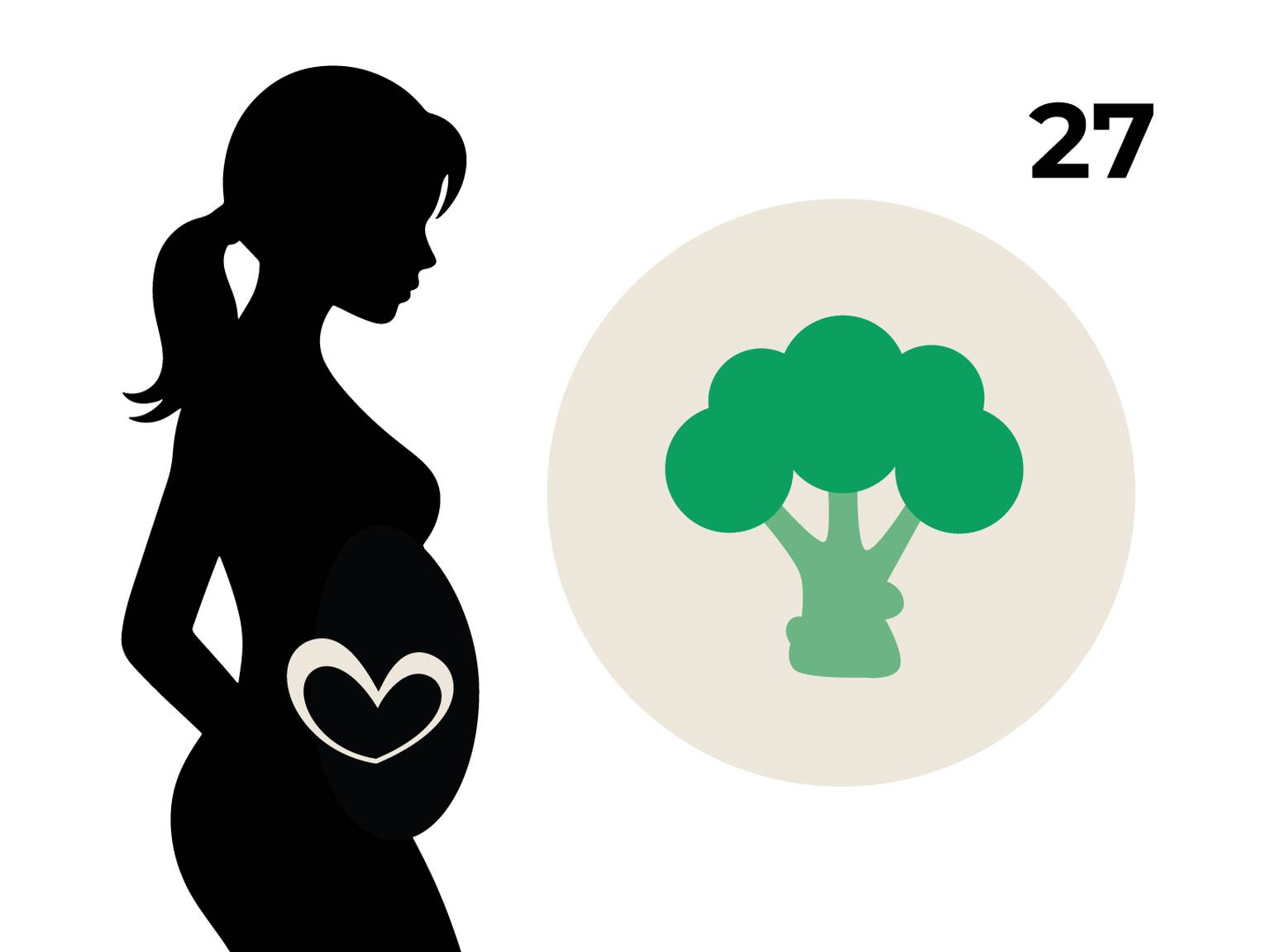 Silhouette einer schwangeren Frau mit einem Herz auf dem Bauch, daneben ein Kreis mit einem Brokkoli und die Zahl 27.