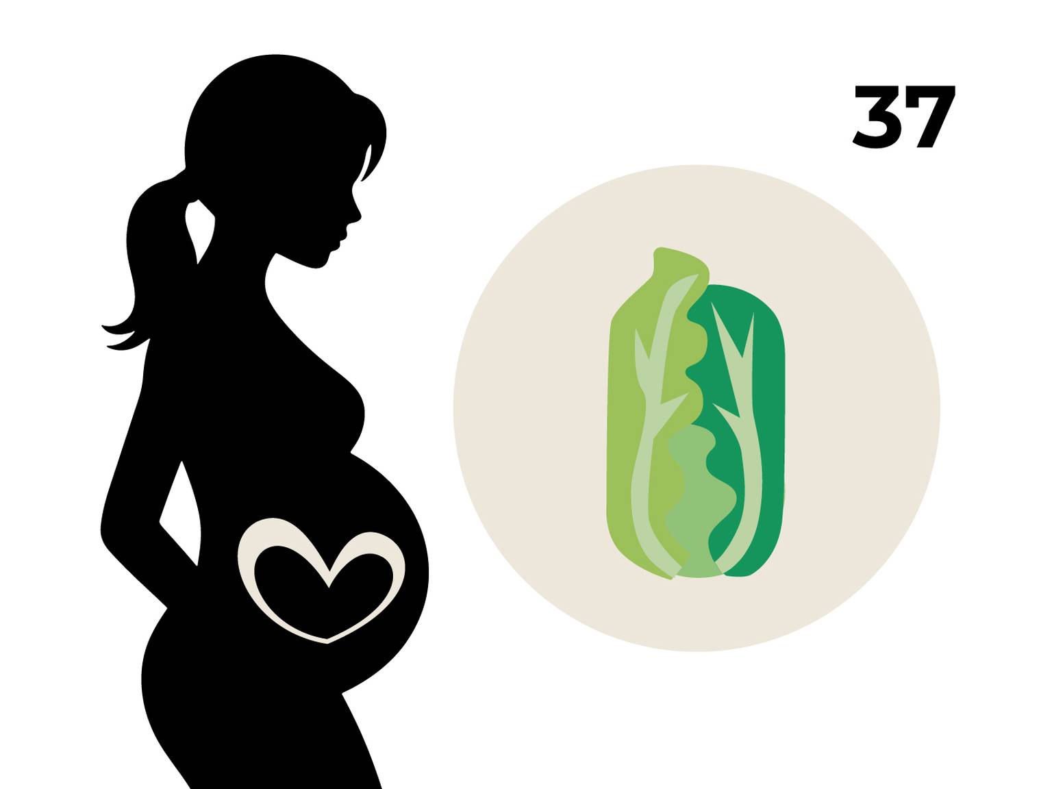 Silhouette einer schwangeren Frau mit einem Herz auf dem Bauch, daneben ein Kreis mit einem Chinakohl und die Zahl 37.