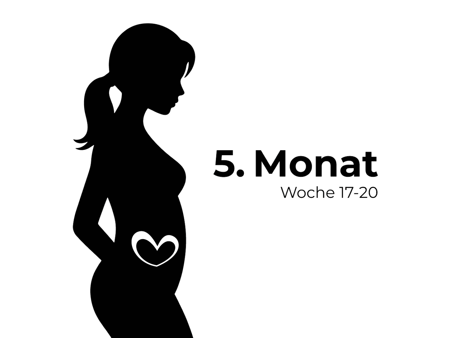 Silhouette einer schwangeren Frau mit einem Herzsymbol auf dem Bauch, beschriftet mit „5. Monat Woche 17-20“ auf weißem Hintergrund.