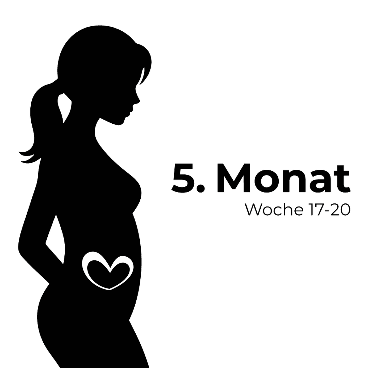 Silhouette einer schwangeren Frau mit einem Herzsymbol auf dem Bauch, beschriftet mit „5. Monat Woche 17-20“ auf weißem Hintergrund.