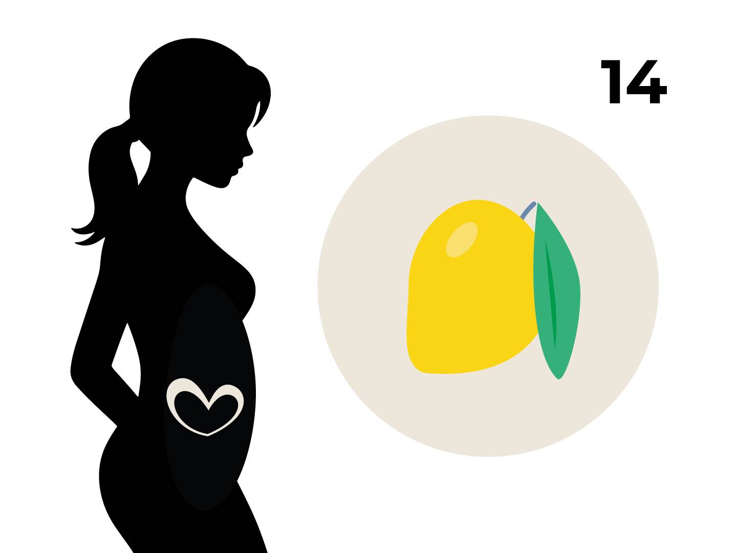 Silhouette einer schwangeren Frau mit einem Herz auf dem Bauch, daneben ein Kreis mit einer Zitrone und die Zahl 14.