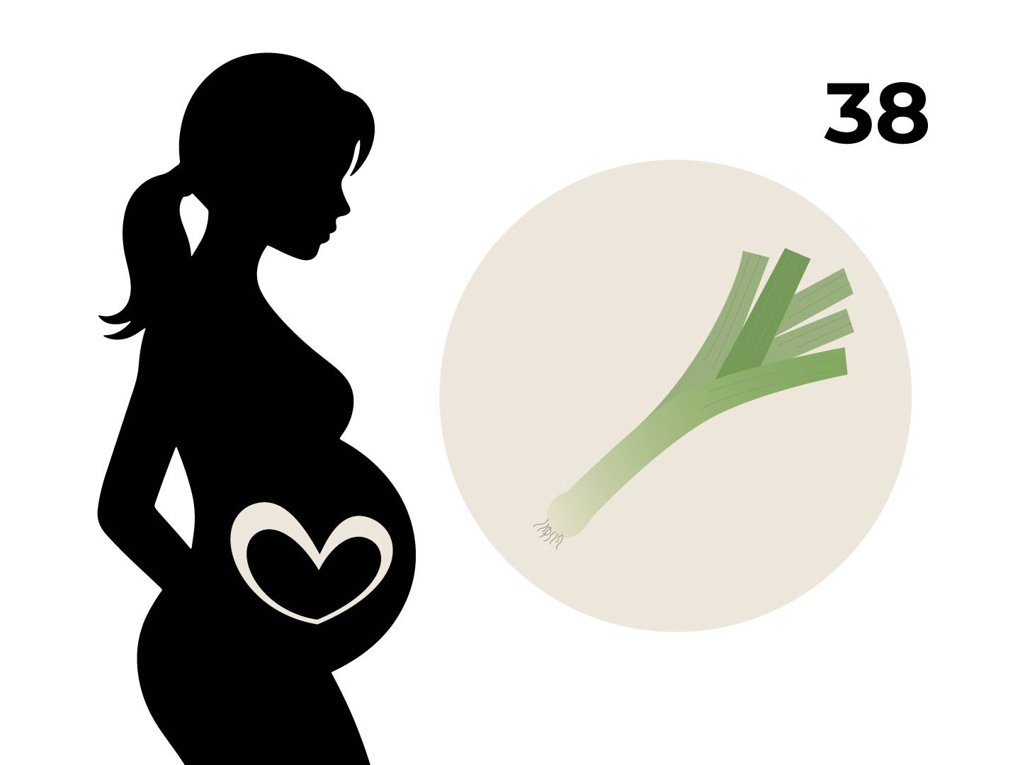 Silhouette einer schwangeren Frau mit einem Herz auf dem Bauch, daneben ein Kreis mit einer Lauchstange und die Zahl 38.