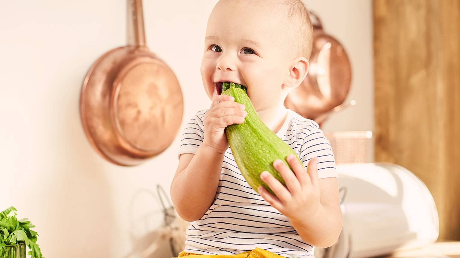 Ein Baby in einem gestreiften Hemd und einer gelben Hose beißt glücklich in einer großen Zucchini in einer Küche, an deren Wand Kupferpfannen hängen.