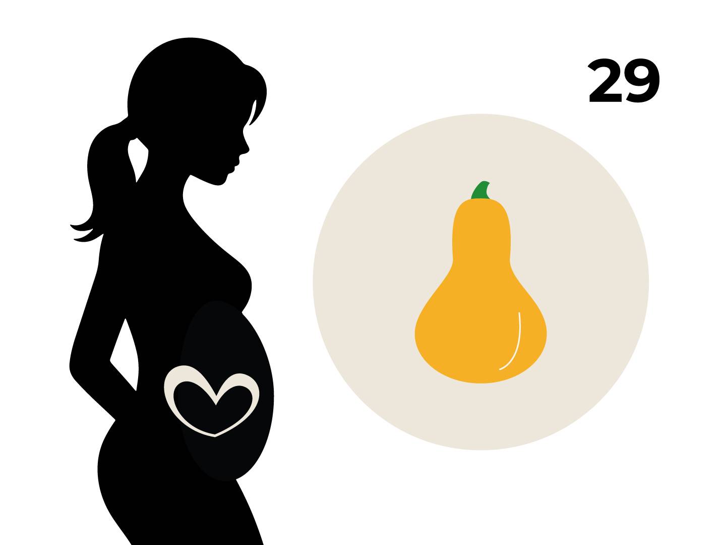 Silhouette einer schwangeren Frau mit einem Herz auf dem Bauch, daneben ein Kreis mit einem Butternut-Kürbis und die Zahl 29.