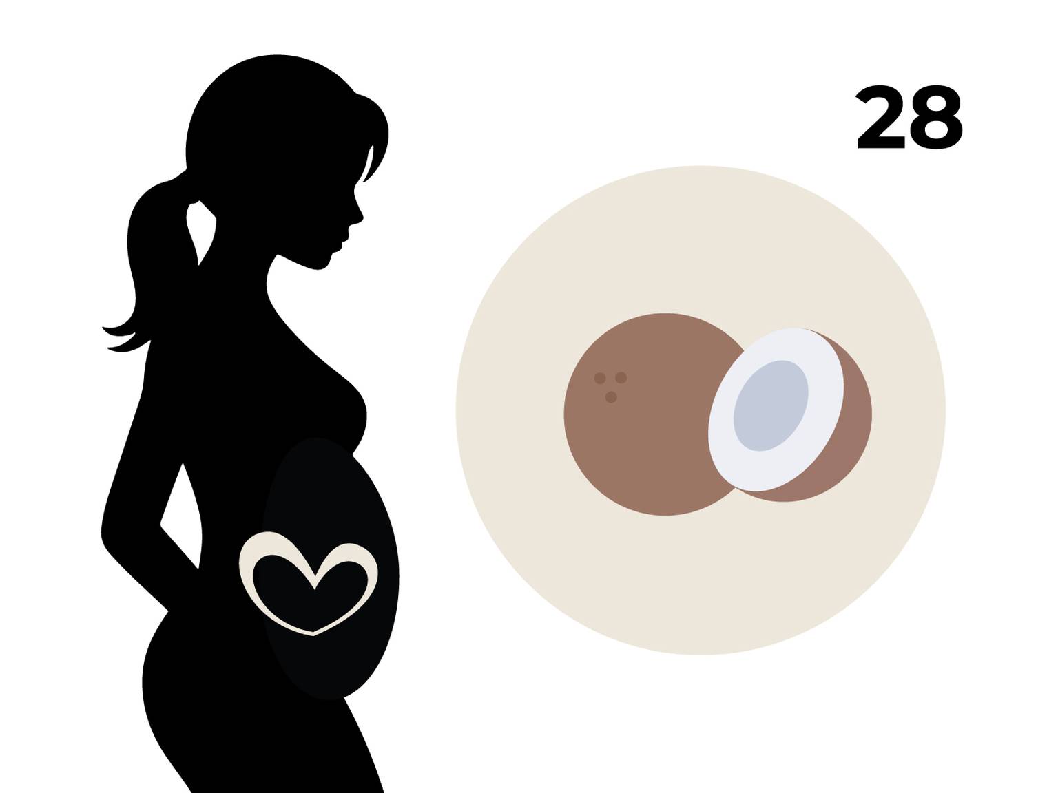 Silhouette einer schwangeren Frau mit einem Herz auf dem Bauch, daneben ein Kreis mit einer Kokosnuss und die Zahl 28.