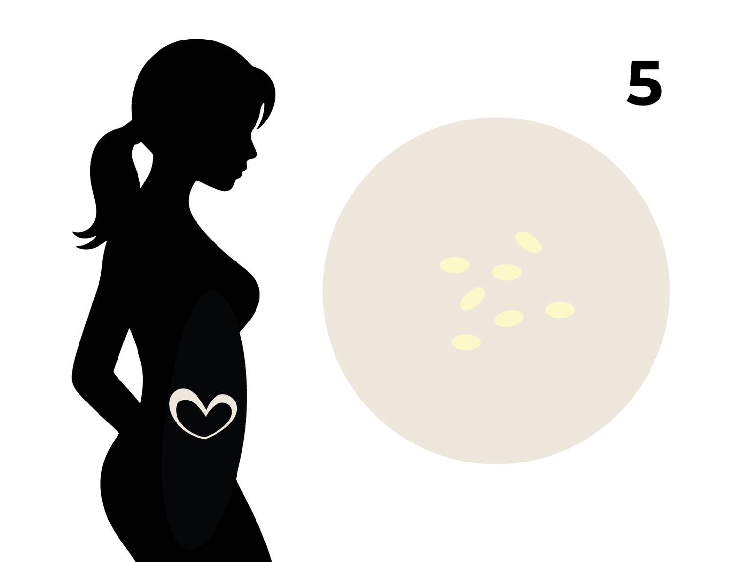 Silhouette einer schwangeren Frau mit einem Herz auf dem Bauch, daneben ein Kreis mit Sesam und die Zahl 5.