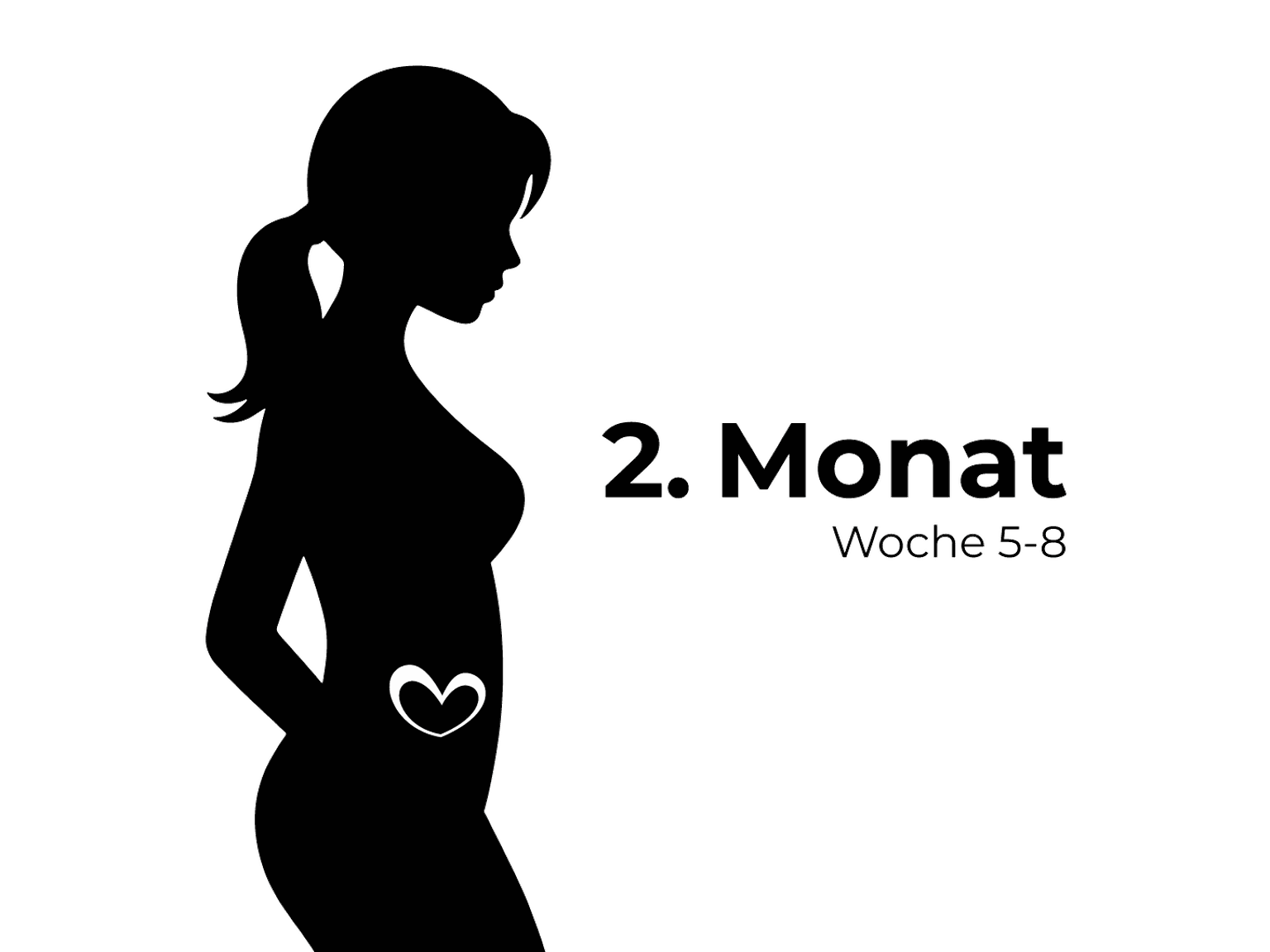 Silhouette einer schwangeren Frau mit einem Herzsymbol auf dem Bauch, beschriftet mit „2. Monat Woche 5-8“ auf weißem Hintergrund.