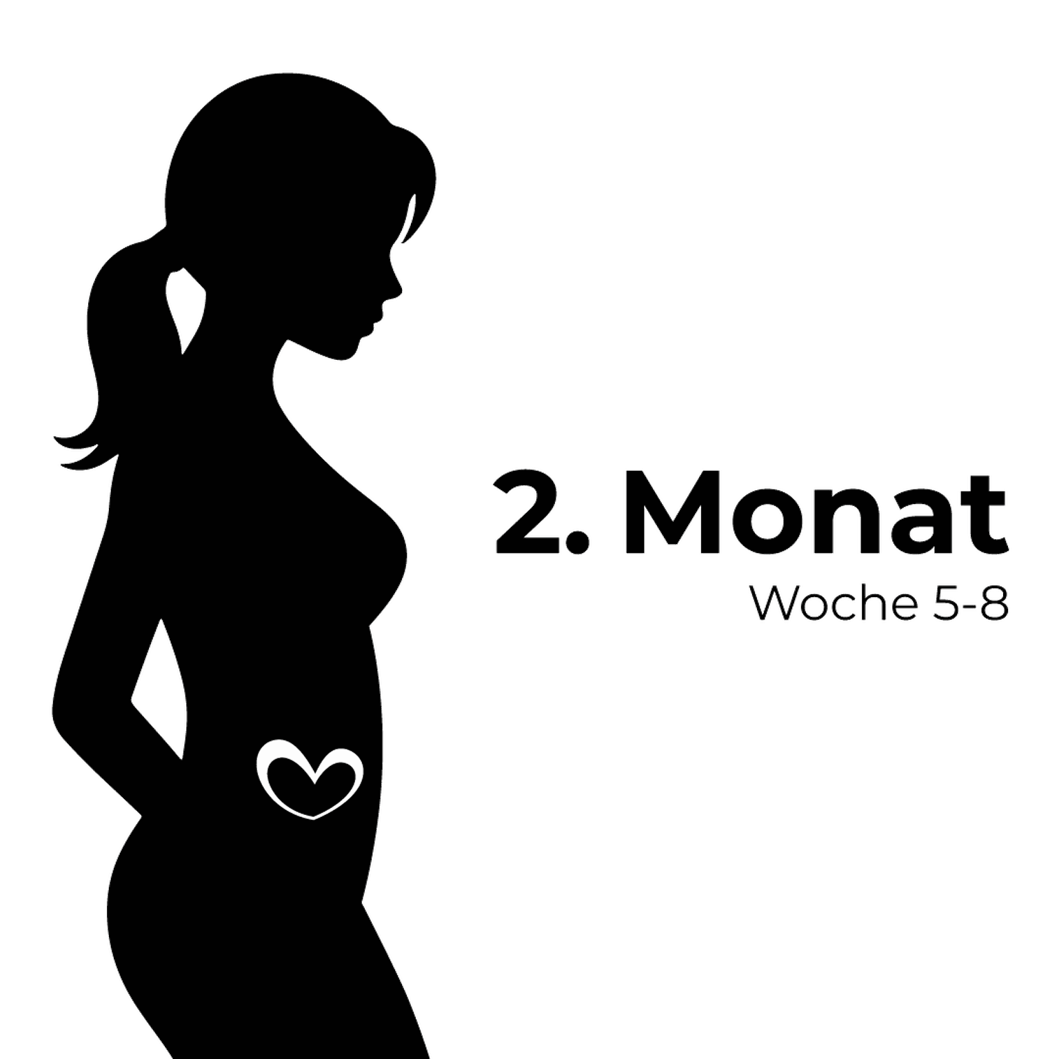 Silhouette einer schwangeren Frau mit einem Herzsymbol auf dem Bauch, beschriftet mit „2. Monat Woche 5-8“ auf weißem Hintergrund.