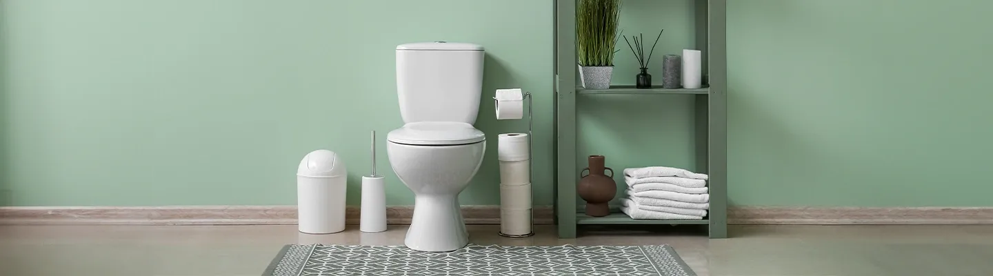 Badezimmer mit einem weißen WC, grünen Wänden, einem Regal mit Handtüchern, Pflanzen und Toilettenartikeln sowie einem gemusterten Teppich auf dem Boden.