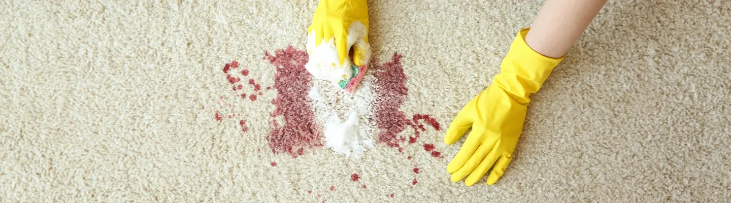 Teppichflecken reinigen leicht gemacht - Tipps und Tricks