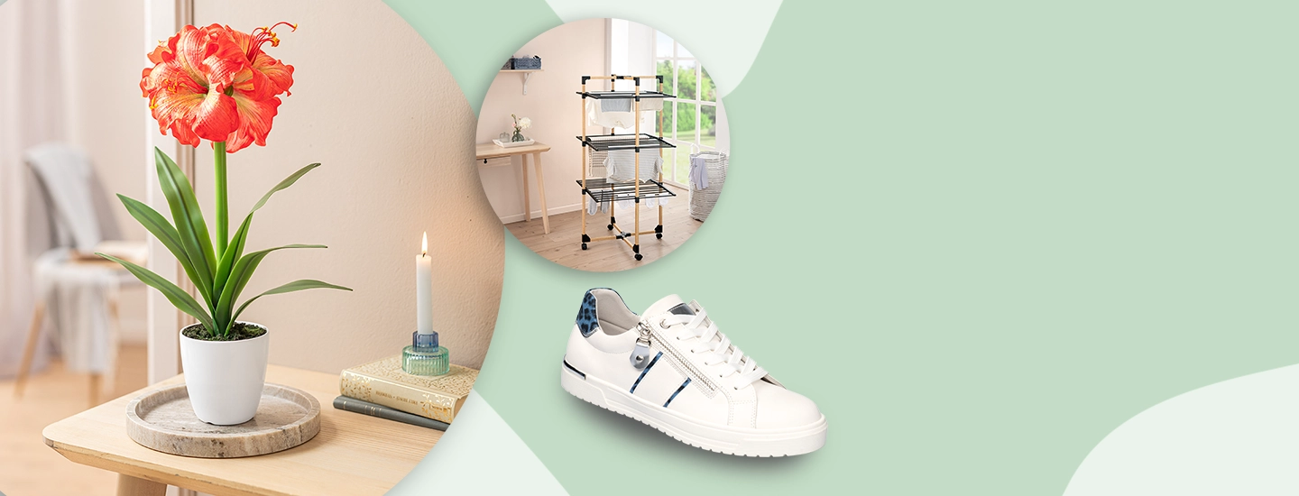 Eine rot-orangefarbene Blume in einem weißen Topf, eine brennende Kerze auf Büchern, ein weißer Sneaker und ein Regal in einem Raum mit gefalteter Kleidung.