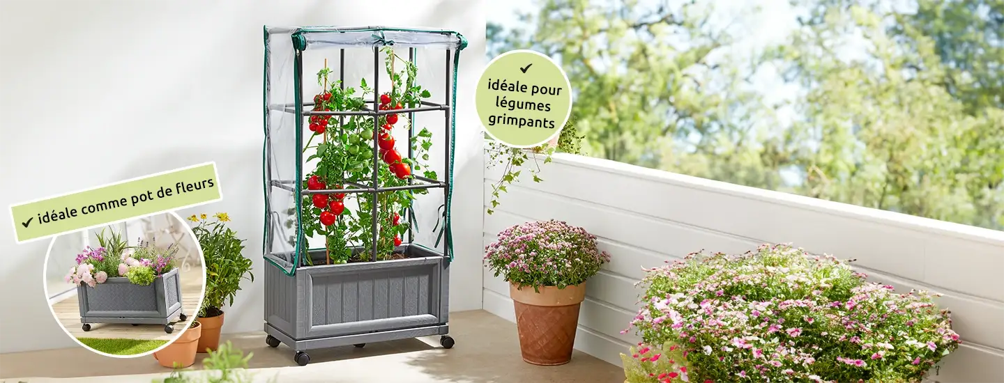 Un balcon avec une petite serre dans laquelle poussent des tomates, à côté de fleurs en pot colorées. Le texte met en avant l'utilisation pour les légumes grimpants et comme pot de fleurs.