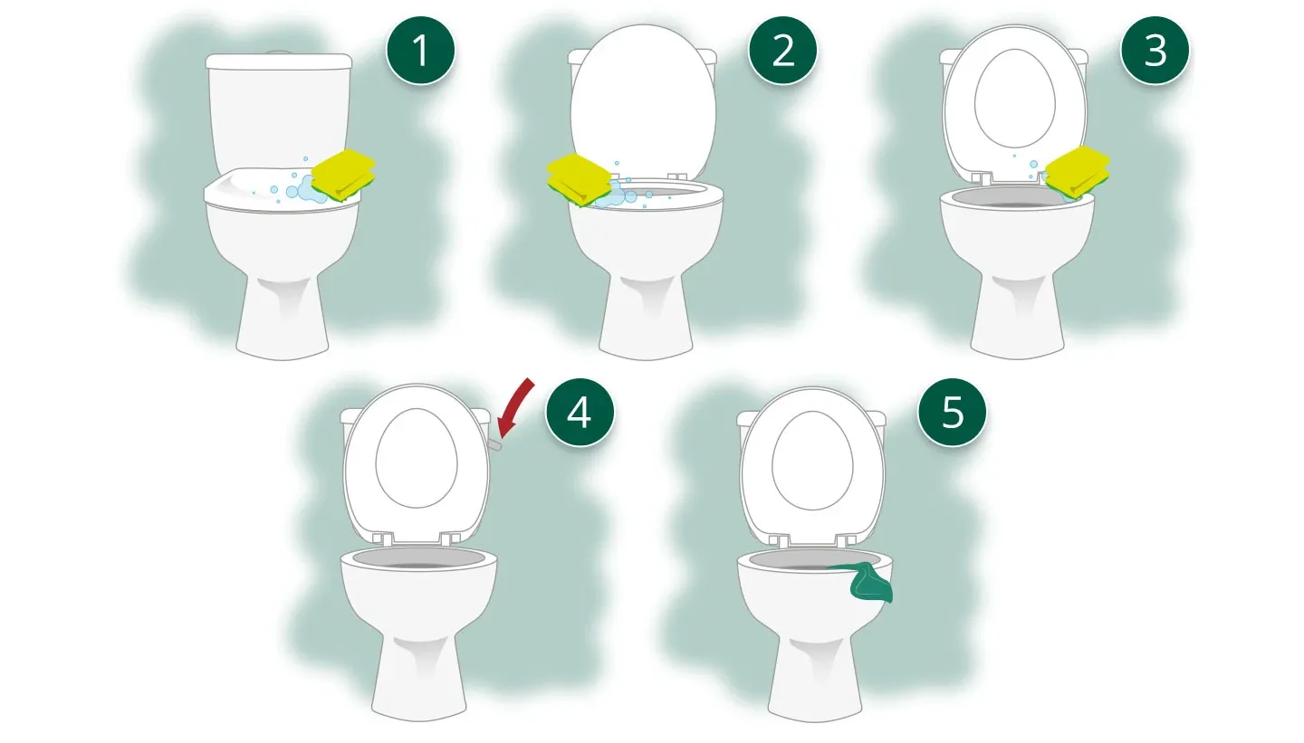 Wie putzt man das WC richtig