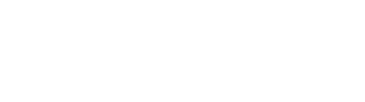 Logo Solini