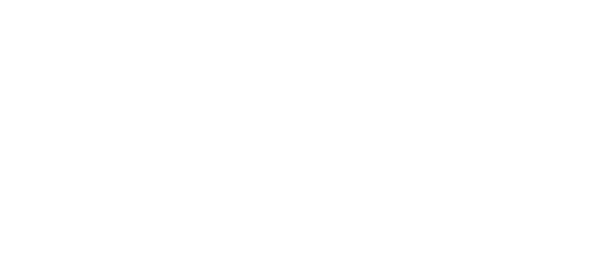 Logo solini
