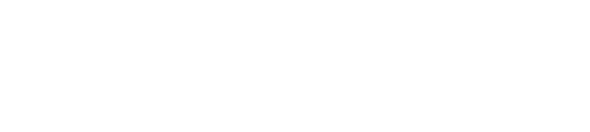 Logo Bornino Home